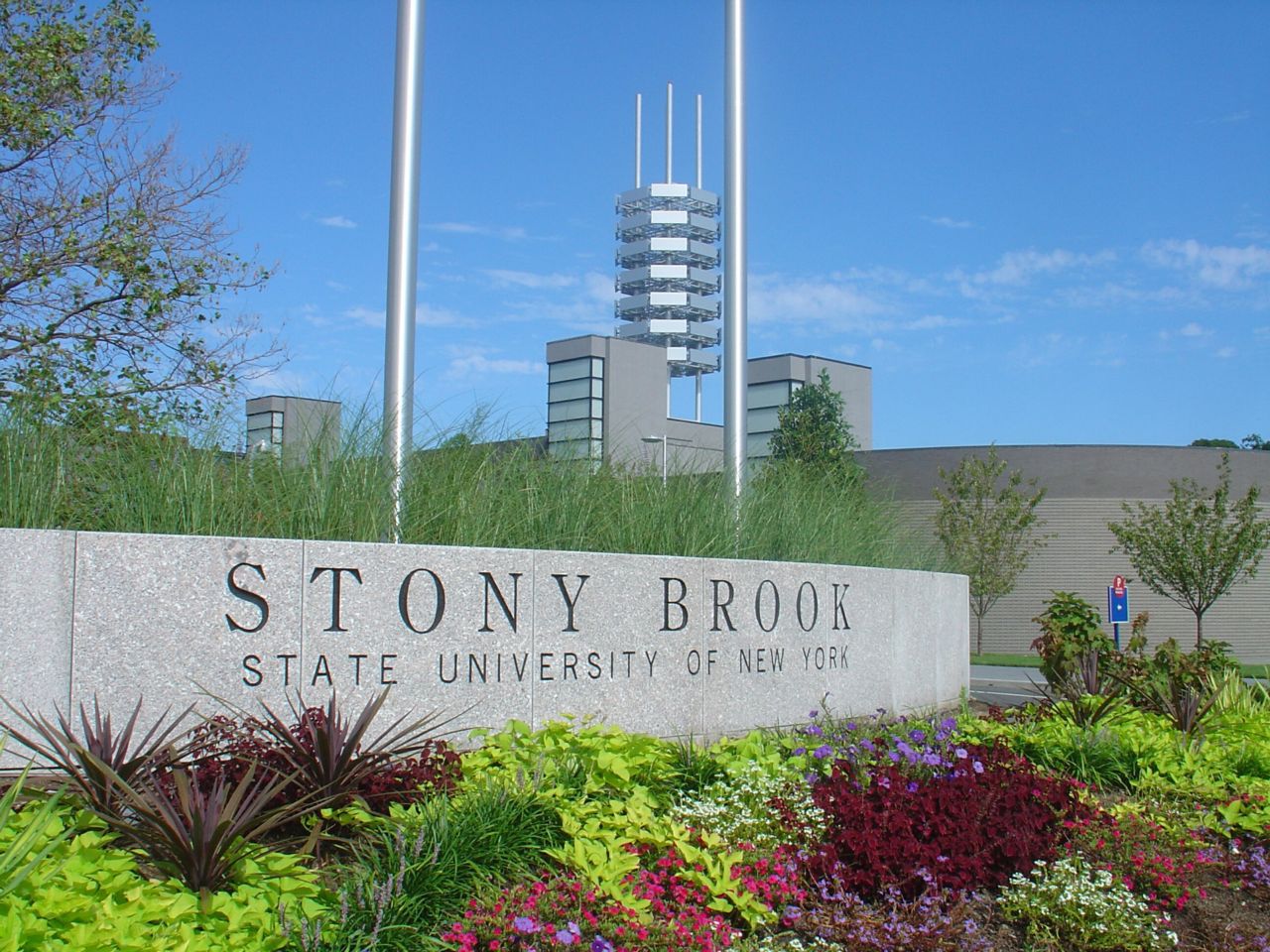 stony-brook-alumni-says-if-you-are-sexually-assaulted-on-campus-seek